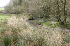 71. Downstream from Withycombe