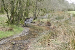 72. Downstream from Withycombe