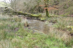 73. Downstream from Withycombe