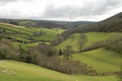 74. Looking to Winsford from Winsford Hill