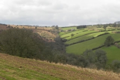 75. Looking to Little Ash Farm and source from Winsford Hill