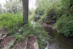 53.-Looking-downstream-from-Factory-Culvert