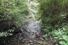 56.-Looking-upstream-from-A39-Keward-Bridge