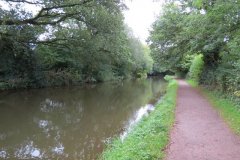 14.-Canal-between-Manley-and-Warnicombe-Bridge-1