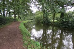 14.-Canal-between-Manley-and-Warnicombe-Bridge-2