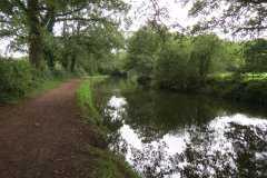 14.-Canal-between-Manley-and-Warnicombe-Bridge-3