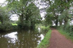 14.-Canal-between-Manley-and-Warnicombe-Bridge-4