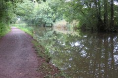 14.-Canal-between-Manley-and-Warnicombe-Bridge-7