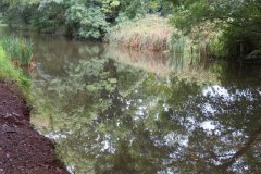 14.-Canal-between-Manley-and-Warnicombe-Bridge-8