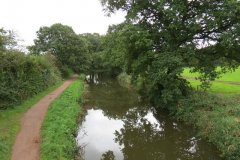 15.-Looking-upstream-from-Warnicombe-Bridge