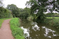 16.-Looking-upstream-from-Warnicombe-Bridge
