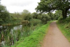 2.-Canal-between-East-Manley-and-Manley-Bridge-4