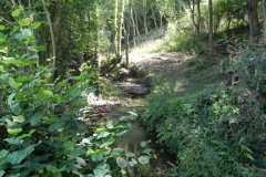 13A.-River-View-Compton-Wood