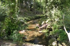 20.-River-View-Batch-Wood