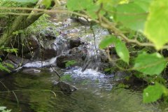 32.-Weir-near-Red-House-Farm