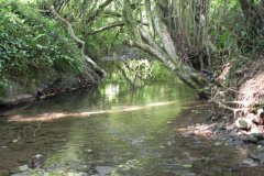 42.-Looking-Downstream-from-Stoodley-Bridge