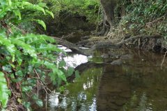 44.-Weir-downstream-from-Stoodley-Bridge