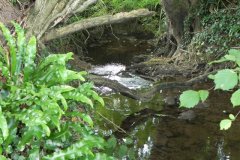 45.-Weir-downstream-from-Stoodley-Bridge
