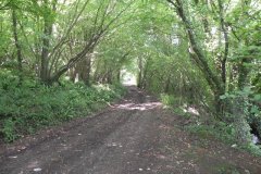 45A.-Woodland-Track-alongside-Redlake-River