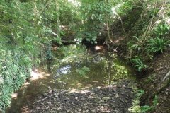 46.-Looking-upstream-from-Rope-Footbridge