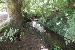 48.-Looking-downstream-from-Rope-Footbridge