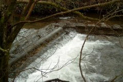 12.-Weir-upstream-from-Milton-Bridge