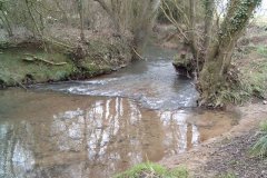 7.-Upstream-From-Milton-Bridge