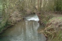 9.-Upstream-From-Milton-Bridge