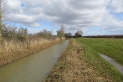 44.-Upstream-from-Canal-Bridge-north-of-Knighton