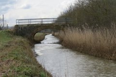 45.-Upstream-from-Canal-Bridge-north-of-Knighton-2
