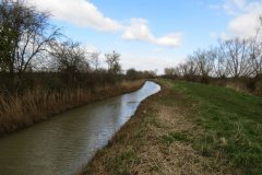 46.-Downstream-from-Westmoor-Bridge-1