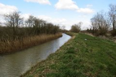 46.-Downstream-from-Westmoor-Bridge-2