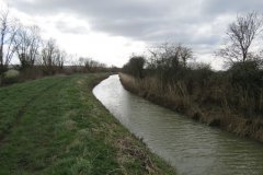 46.-Downstream-from-Westmoor-Bridge-4