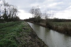 46.-Downstream-from-Westmoor-Bridge-6