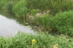 B. Westport Canal to Hambridge