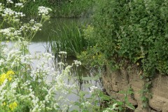 11.-Drain-from-Slabgate-inlet-joins-River-Isle-1