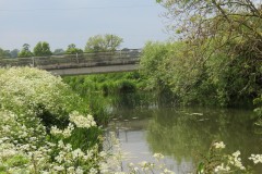 12.-Downstream-from-Hambridge-Bridge-3