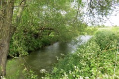 12.-Downstream-from-Hambridge-Bridge-4