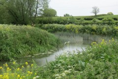 12.-Downstream-from-Hambridge-Bridge-6