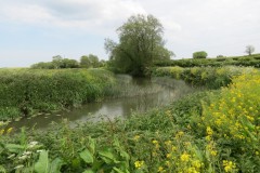 12.-Downstream-from-Hambridge-Bridge-7