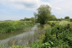 12.-Downstream-from-Hambridge-Bridge-8