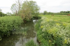 21.-Looking-downstream-from-Hambridge-Bridge-1