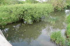 21.-Looking-downstream-from-Hambridge-Bridge-2