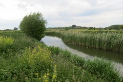 3.-Upstream-from-Westport-Canal-1