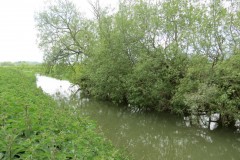 3.-Upstream-from-Westport-Canal-10