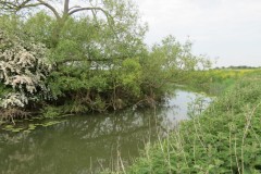 3.-Upstream-from-Westport-Canal-11