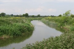 3.-Upstream-from-Westport-Canal-13