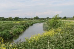 3.-Upstream-from-Westport-Canal-14