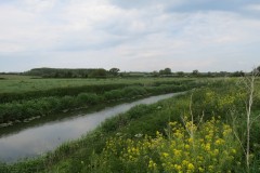 3.-Upstream-from-Westport-Canal-16
