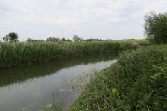 3.-Upstream-from-Westport-Canal-17